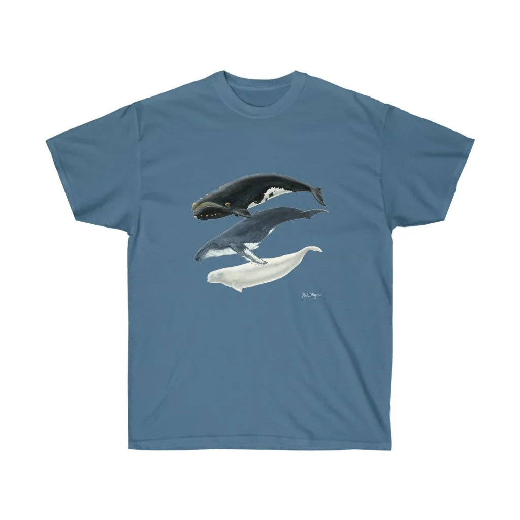 3 Whales Cotton Tee