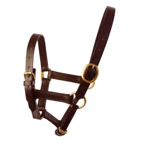 JHL Leather Foal Headcollar