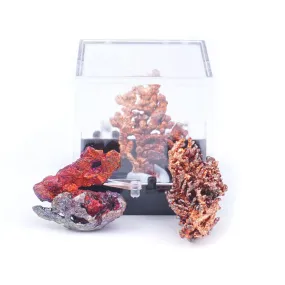 Native Copper 20-40mm Specimen Terrarium - DS ROCK SHOP