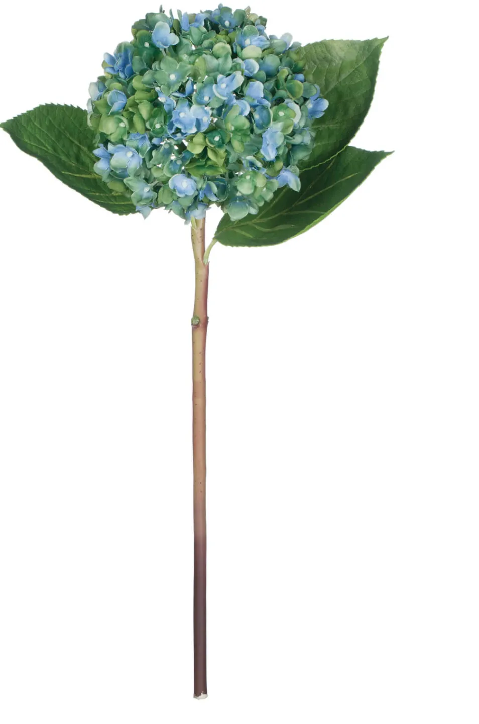 The Perfect Hydrangea Stem